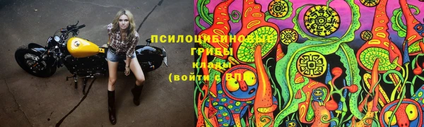 гидропоника Алзамай