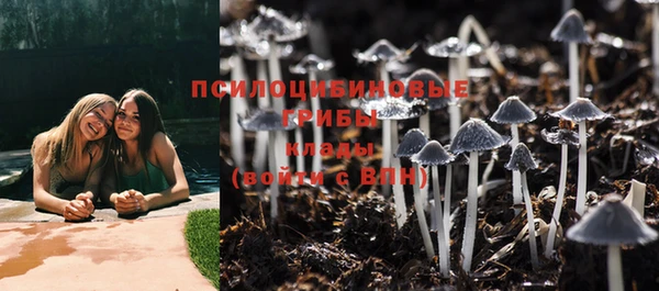 прущий лед Алексин